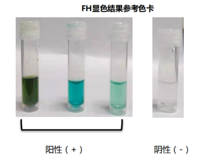 fh染色是什么意思【高质量发展】癌症早期如何筛查，这项新技术又快又准，快来了解_https://www.jmylbn.com_新闻资讯_第11张