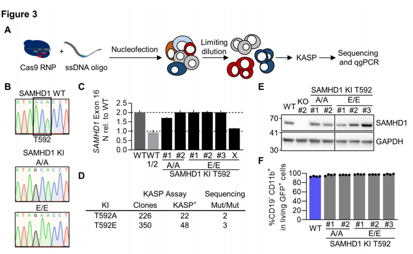 單細胞柔性分選系統(tǒng)結(jié)合CRISPR Cas9技術(shù)新應(yīng)用