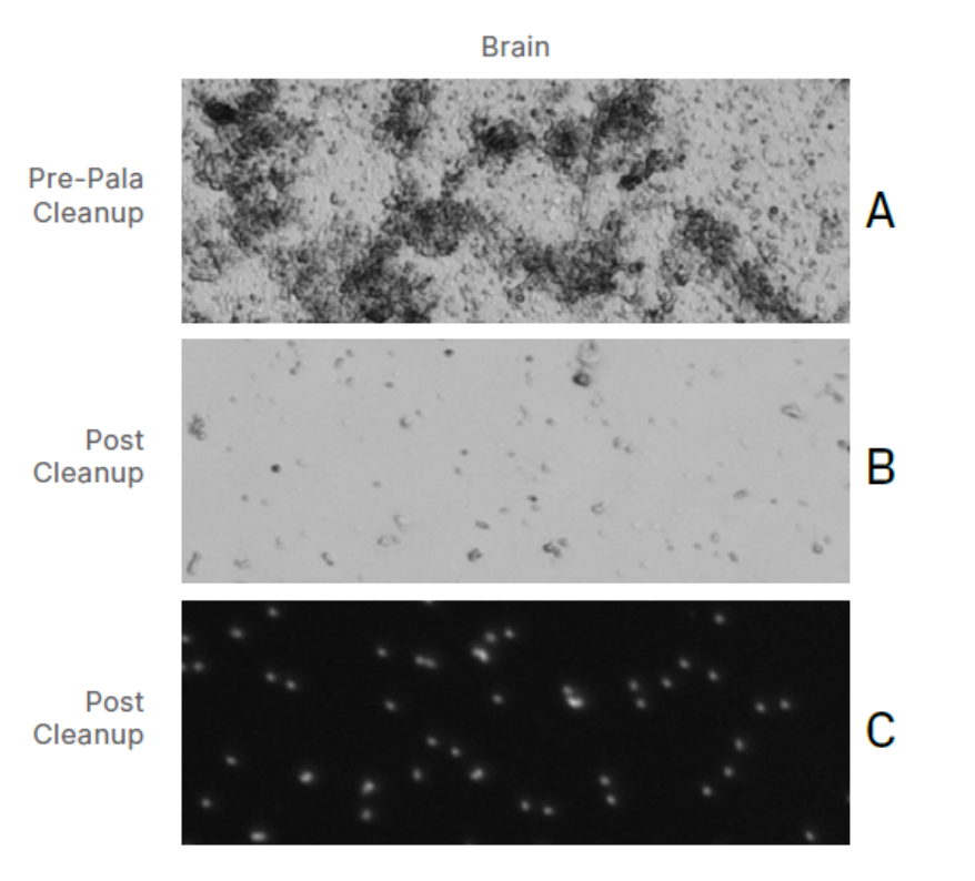 單細胞柔性分選系統(tǒng)Pala和10X Genomics聯(lián)合坐鎮(zhèn)單細胞核測序，用數據說話
