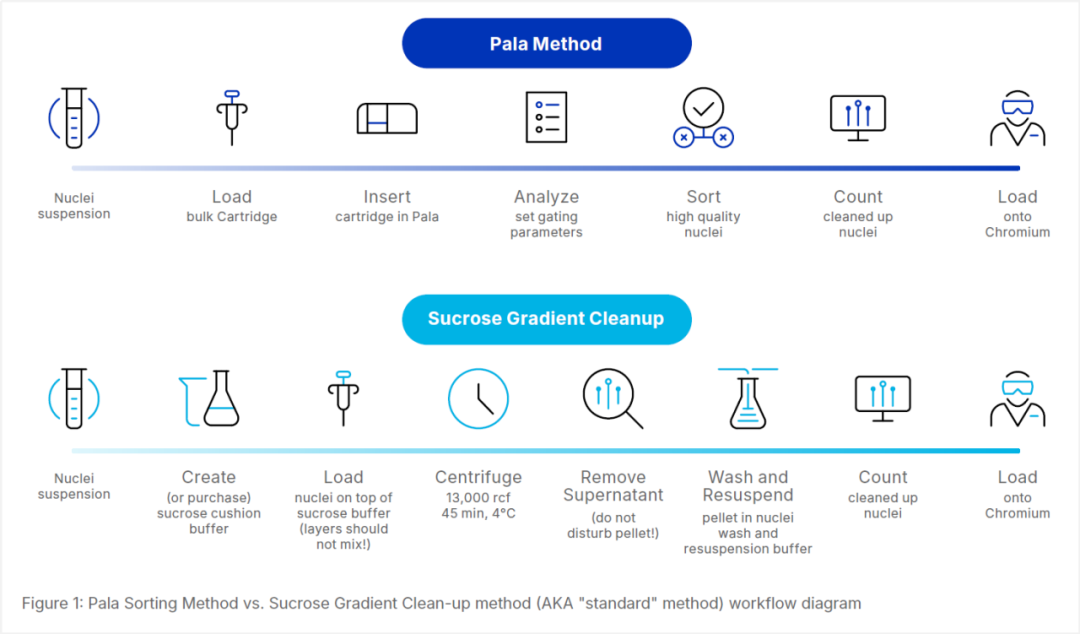 單細胞柔性分選系統(tǒng)Pala和10X Genomics聯(lián)合坐鎮(zhèn)單細胞核測序，用數據說話