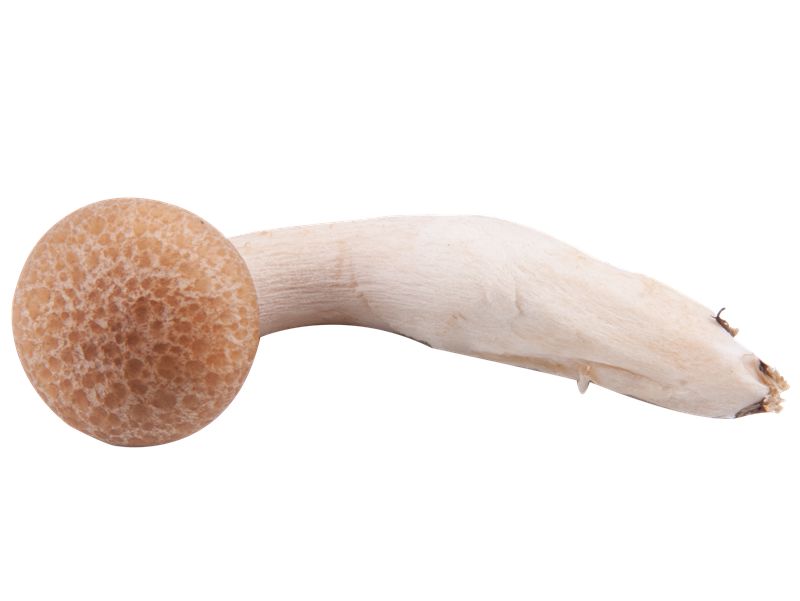 高尿酸飲食大全，轉給我的朋友 健康 第15張