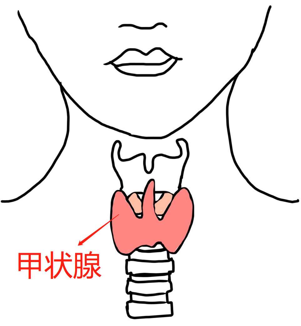 查出甲状腺结节?别慌,医生教你判断良恶性!
