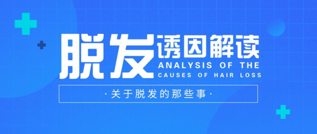脱发的人那么多，为何不能少你一个？