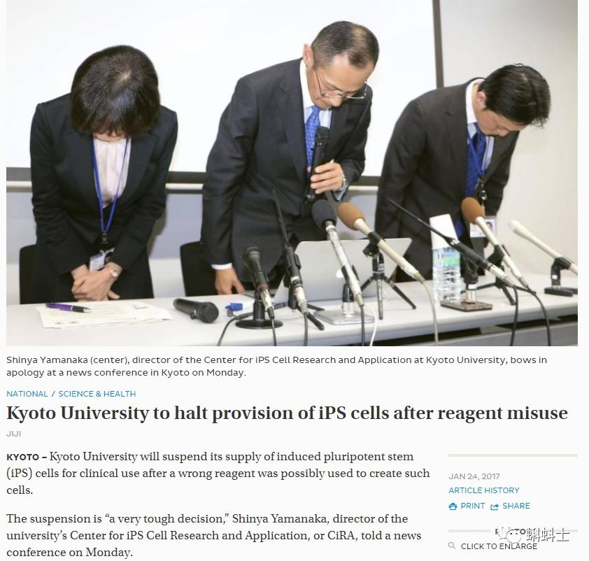 诺奖得主 Ips细胞之父山中伸弥又道歉了 其研究所论文存在严重造假 自由微信 Freewechat