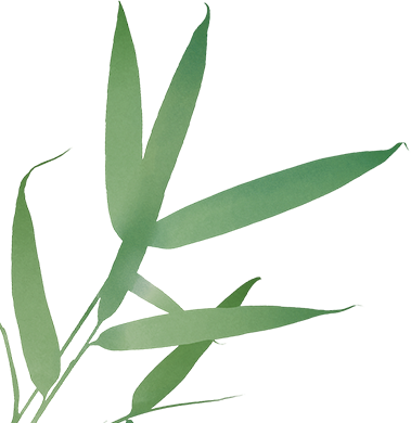 浓情端午，安康“晶锋