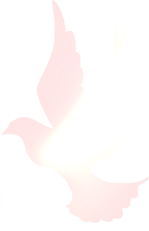 五一勞動節(jié)贊歌：致敬堅守崗位的園區(qū)領(lǐng)導(dǎo)與辛勤勞動的職工