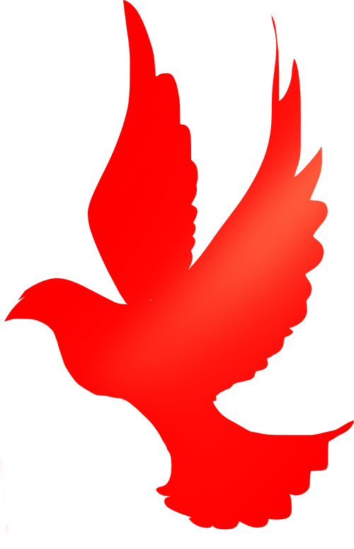 五一勞動節(jié)贊歌：致敬堅守崗位的園區(qū)領(lǐng)導(dǎo)與辛勤勞動的職工