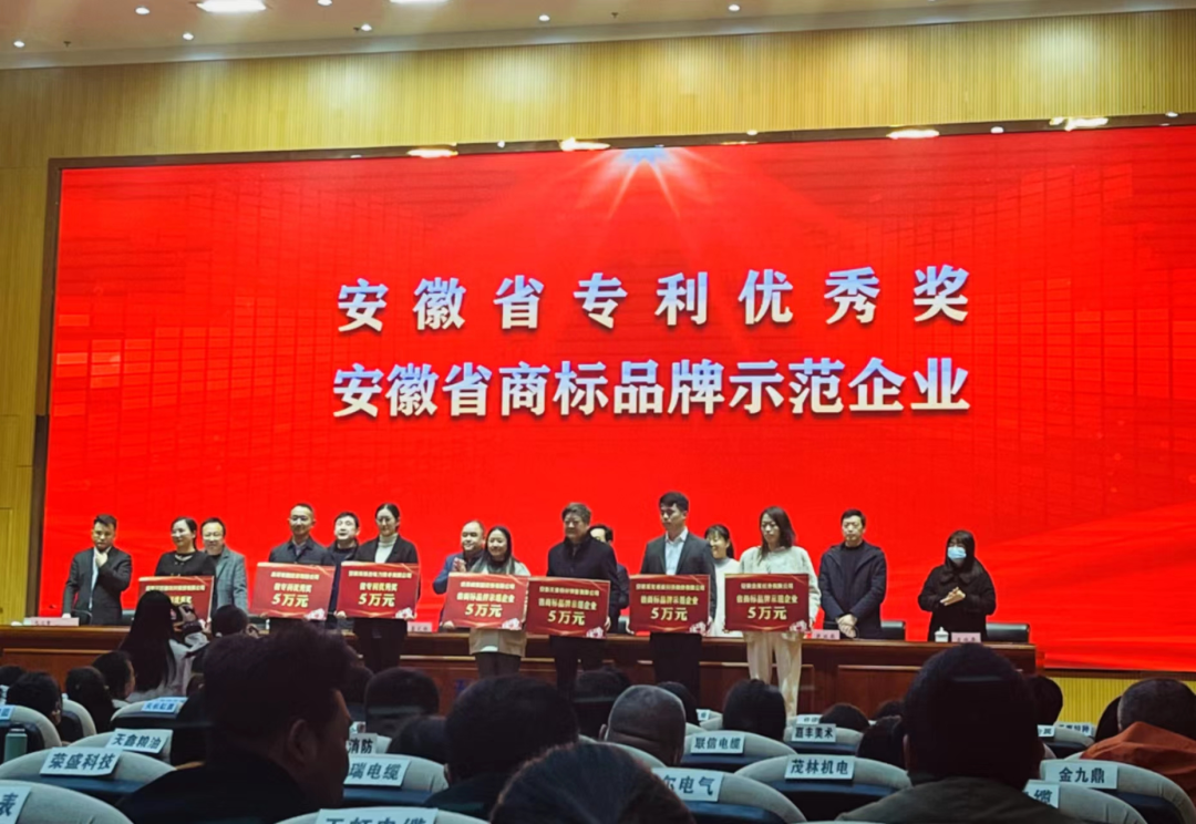 集團再次獲得安徽省優(yōu)秀獎表彰