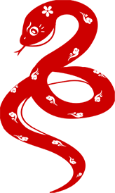 泥鳅导丝怎么用新心联播｜卢竞前：桡动脉入路困难的处理方法_https://www.jmylbn.com_新闻资讯_第4张