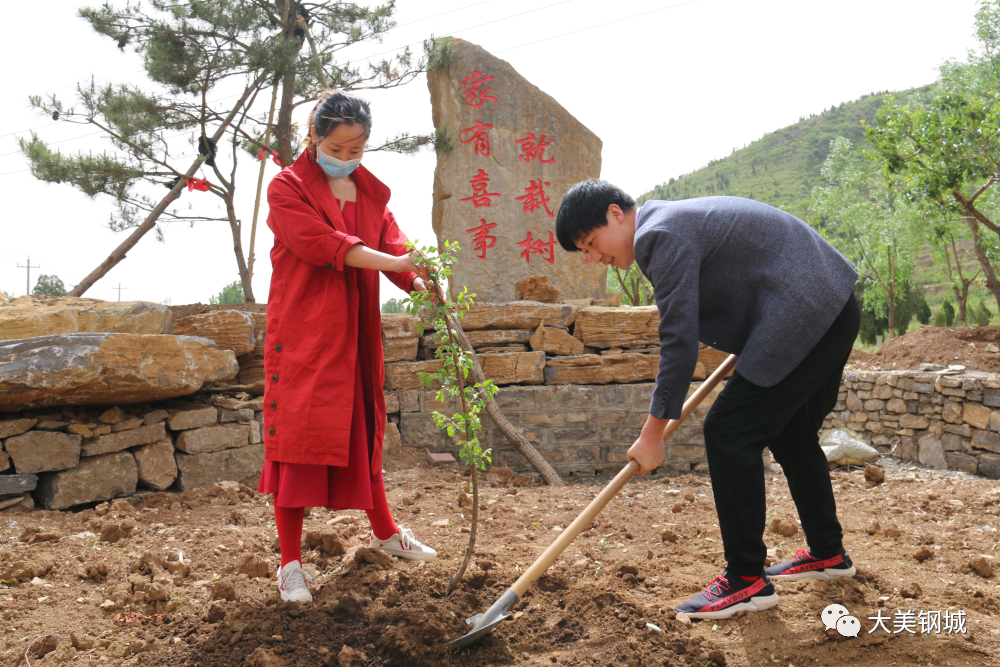 颜庄镇"树"造幸福 主题林引领新风尚_民生_鲁中传媒网