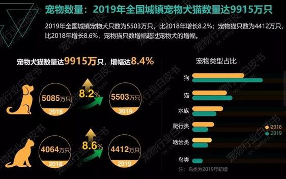 物業打死了我的狗 寵物 第19張