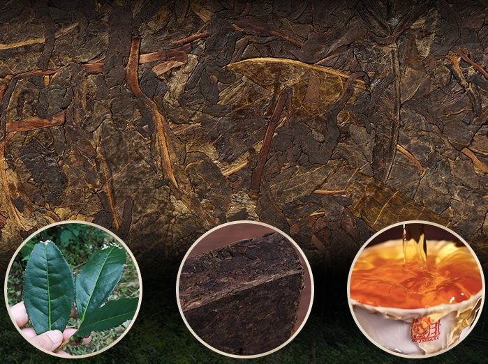 吃那么多保健品，不如试试安化黑茶