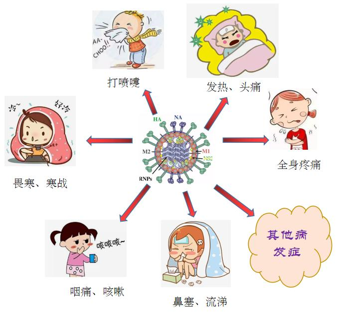 儿童冬季流感5.png