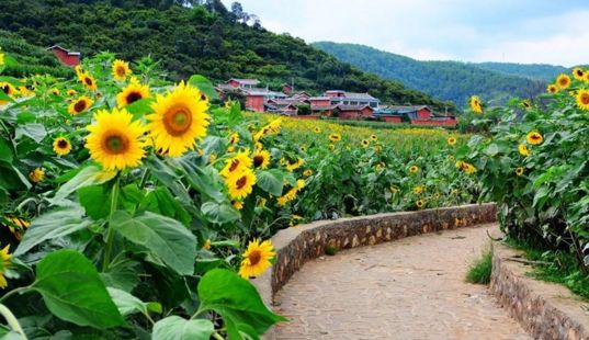 不去九寨稻城，就去四川這20個地方！ 旅遊 第22張