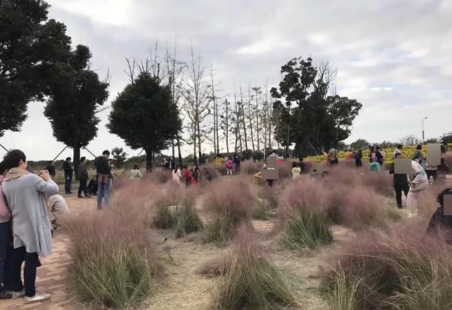 國內這些人間天堂相繼關閉，背後的原因令人心酸！ 旅行 第88張