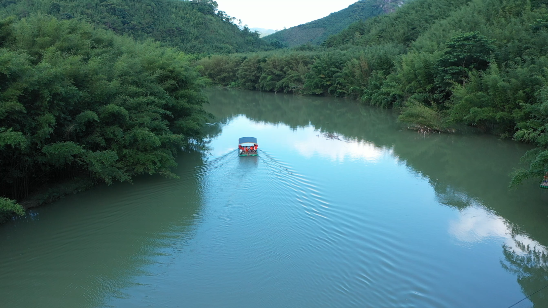 一条竹链能延多长广宁百万亩竹林铺就乡村振兴路