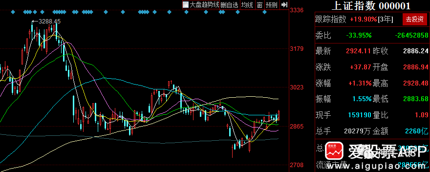 高层表态引爆A股，国务院力挺一类股！