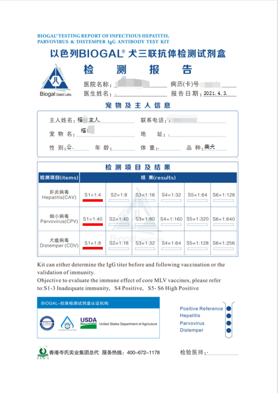 “全网大宠爱”被剪牙的广州柴犬宝宝被正式领养啦!-微信头条网 “全网大宠爱”被剪牙的广州柴犬宝宝被正式领养啦!