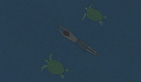 海龟红汤题目和答案全套_海龟红汤_红海龟
