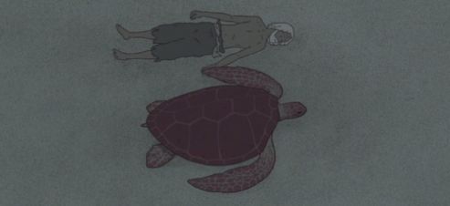 红海龟_海龟红汤_海龟红汤题目和答案全套