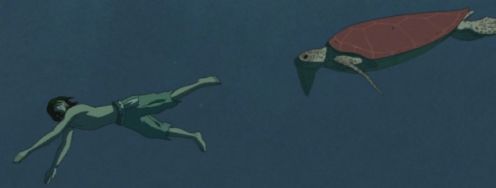 红海龟_海龟红汤题目和答案全套_海龟红汤