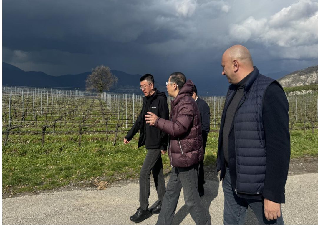 宁夏葡萄酒企业“出海”意大利 深化中意葡萄酒产业合作