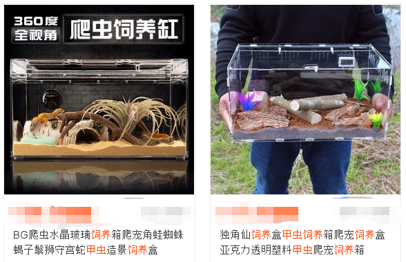 宠物进阶流程_宠物经验心得_宠物饲养经验