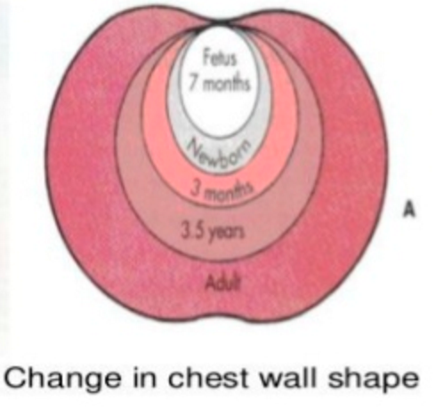 儿科CPAP为什么镇静中儿讲座161：新生儿呼吸管理的基础_https://www.jmylbn.com_新闻资讯_第2张