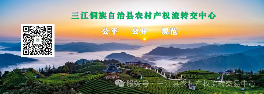 土地管理法第十六条案例