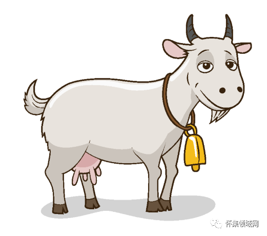 邂逅养羊产业 迎来发展春天"这种羊名叫湖羊,很适合圈养,方便管理