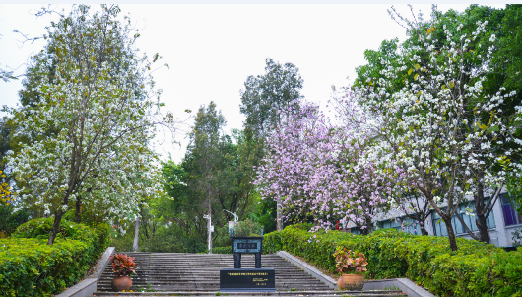 广东省高新技术高级技工学校