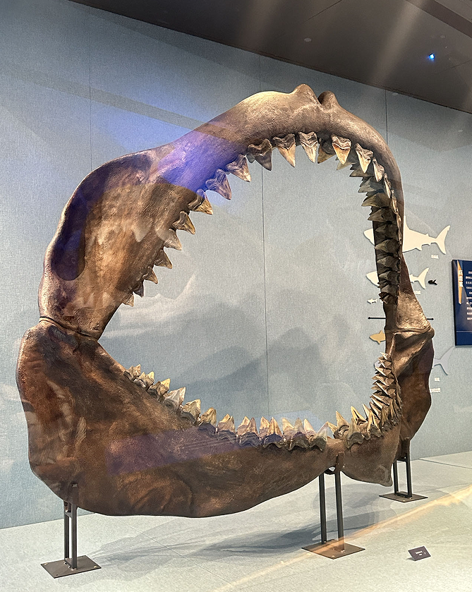 美河北寺１跚旯懦嵌曰翱至颖本谷徊刈藕枚嗑