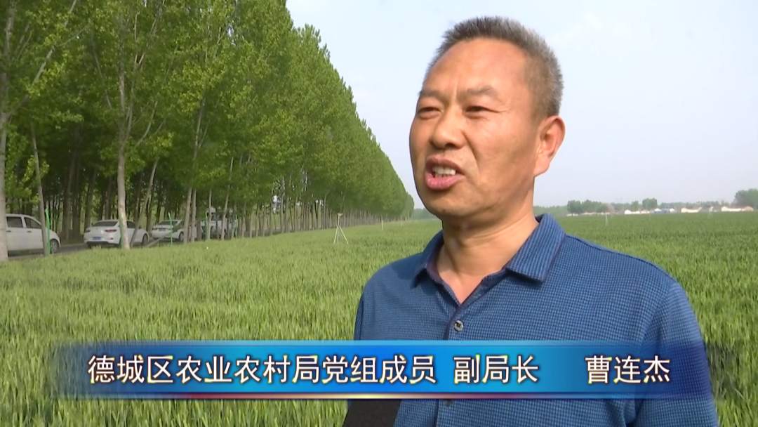 德城区农业农村局党组成员,副局长曹连杰说表示,要做好监测预警,及时