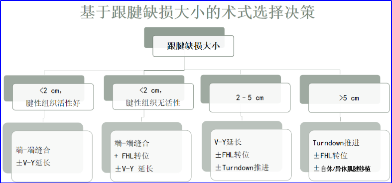 ​图文并茂：慢性跟腱断裂的最新治疗进展