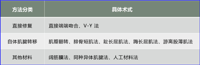 ​图文并茂：慢性跟腱断裂的最新治疗进展