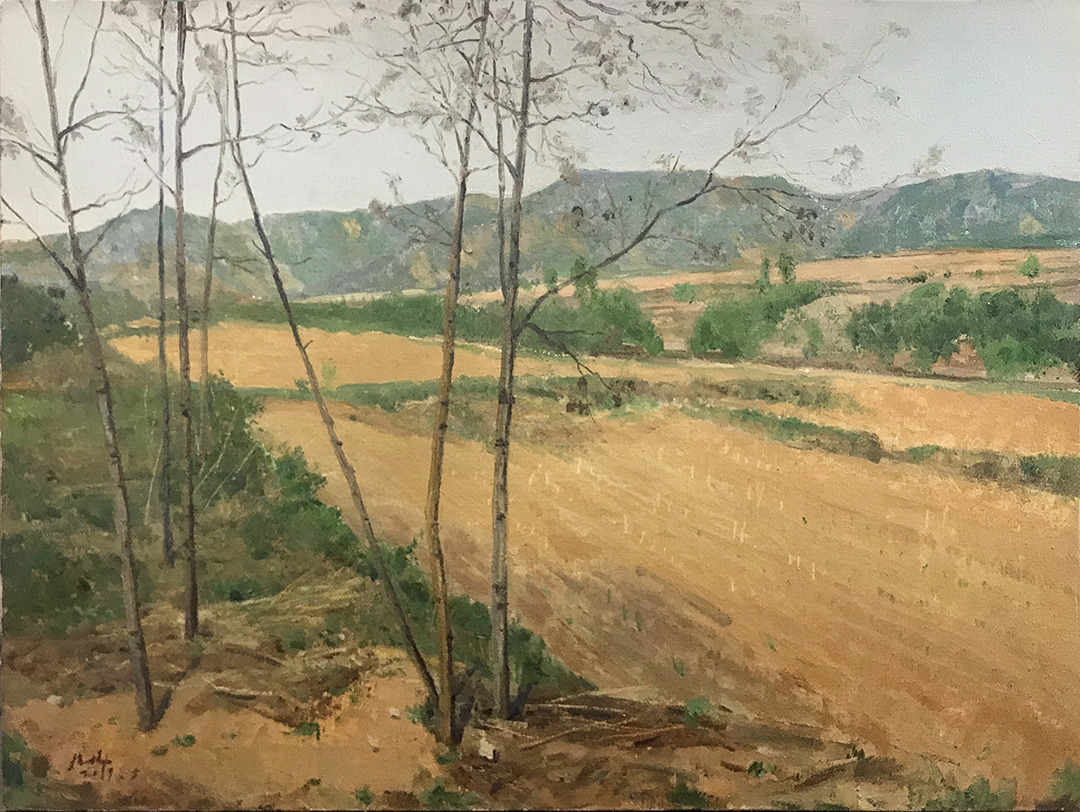 艺术家推荐丨徐扬XUYANG(图28)