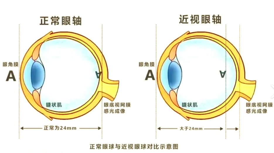 微信图片_20260724161238_67_20.png