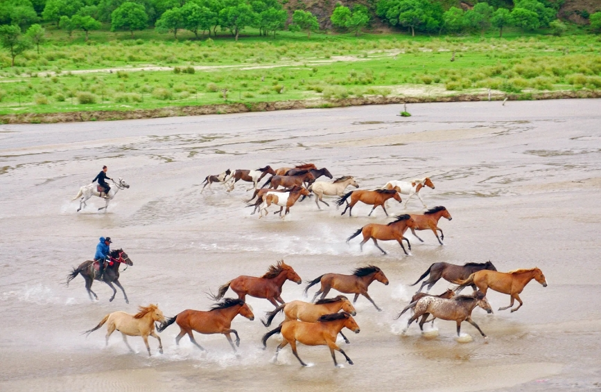 塞上草原怎么玩?越野 那达慕狂欢,19种娱乐项目好玩到停不下来