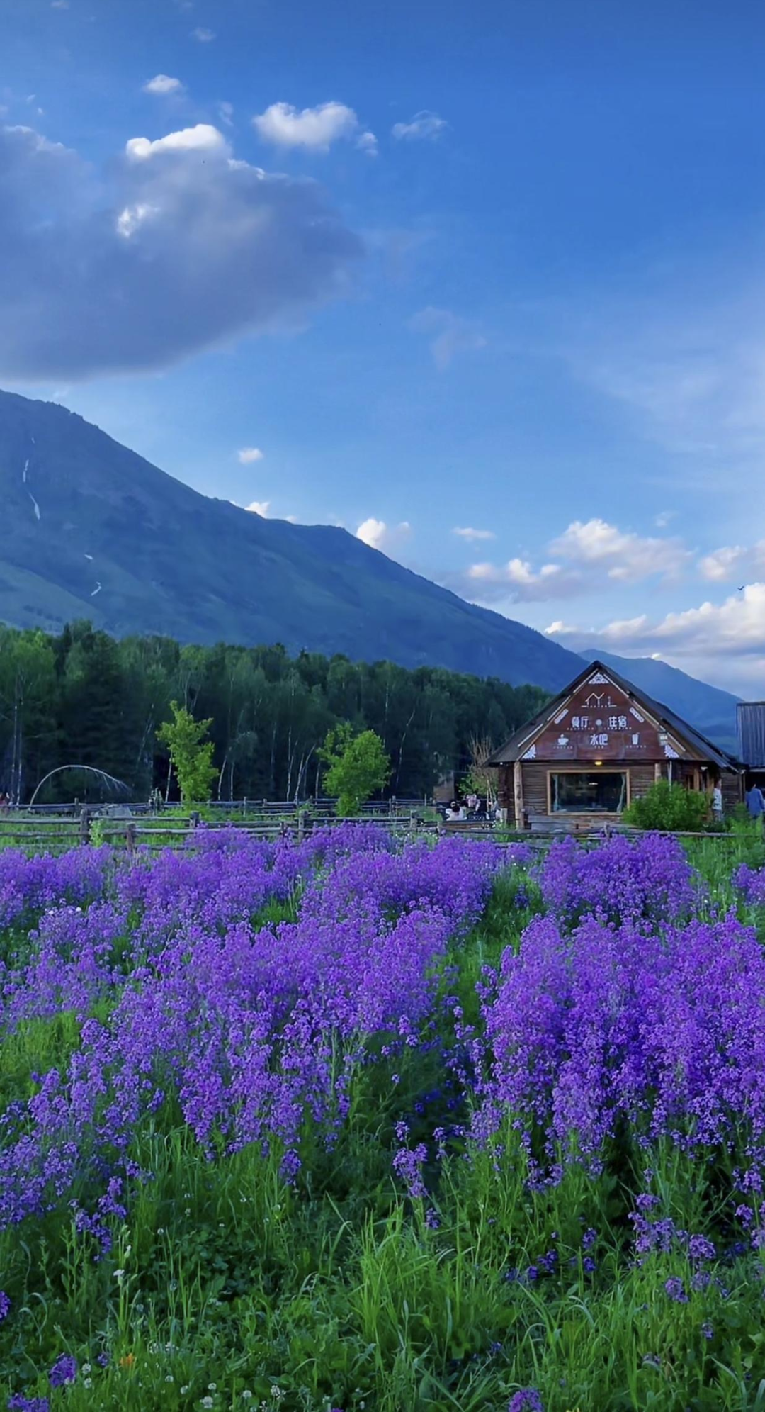 【旅游攻略】一篇就够！最全喀纳斯景区攻略请收好~