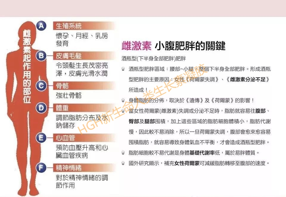 宋医生告诉我们是什么决定了胖和瘦