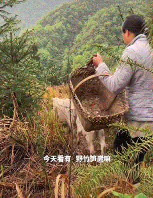 牛爱芳的小春花真实情况揭秘_我爱保姆之牛春花全集_保姆之牛春花情欲超市