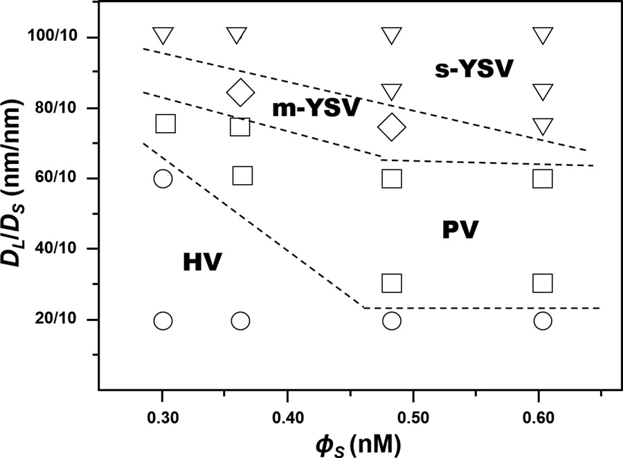 复旦大学聂志鸿教授等：熵驱动的二元纳米粒子两亲性杂化囊泡的分离和出芽的图5
