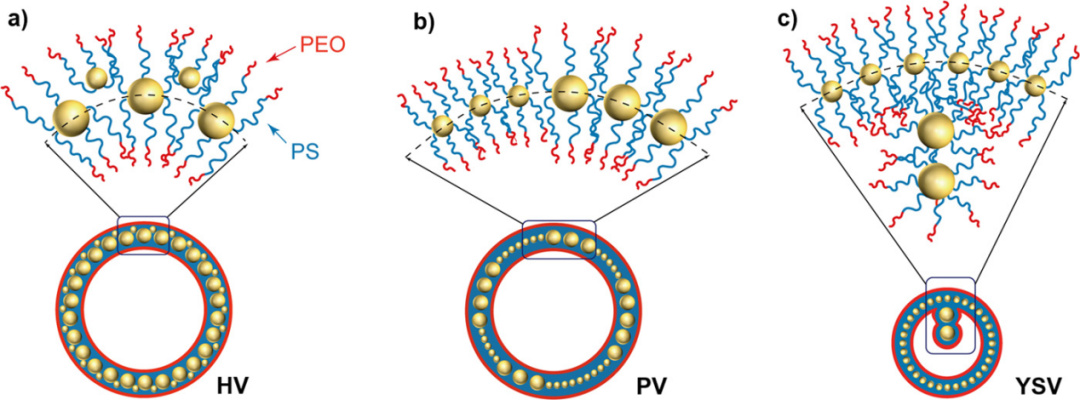 复旦大学聂志鸿教授等：熵驱动的二元纳米粒子两亲性杂化囊泡的分离和出芽的图3