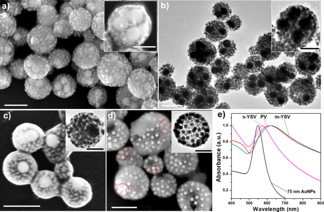 复旦大学聂志鸿教授等：熵驱动的二元纳米粒子两亲性杂化囊泡的分离和出芽的图2