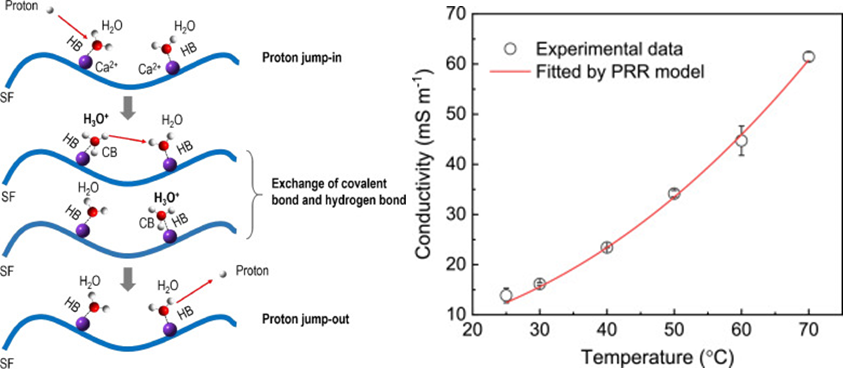上海科技大学凌盛杰课题组：水合质子对丝蛋白离电水凝胶温度和湿度响应行为的影响的图1
