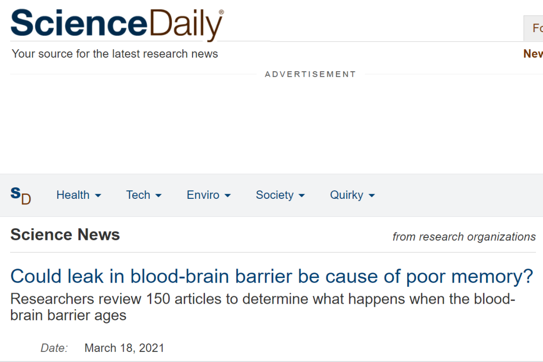 通透性_通透性的概念_通透性增加