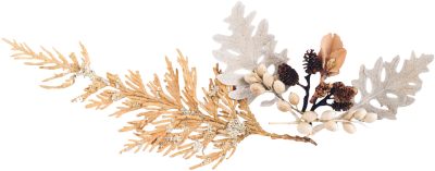 百思泰年会 | 勇往直前，2021牛气冲天