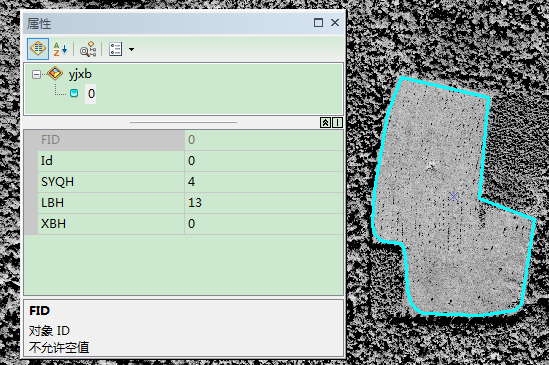 如何基于ArcGIS的林业专题地图制作与输出的图4