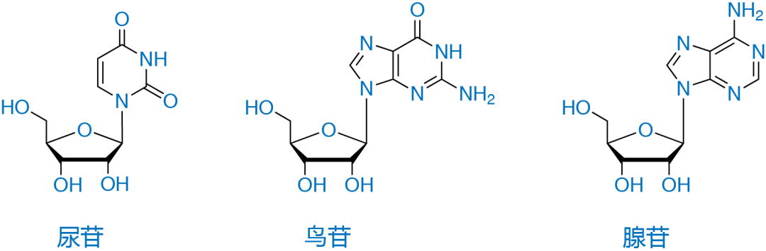 板蓝根颗粒的含量测定