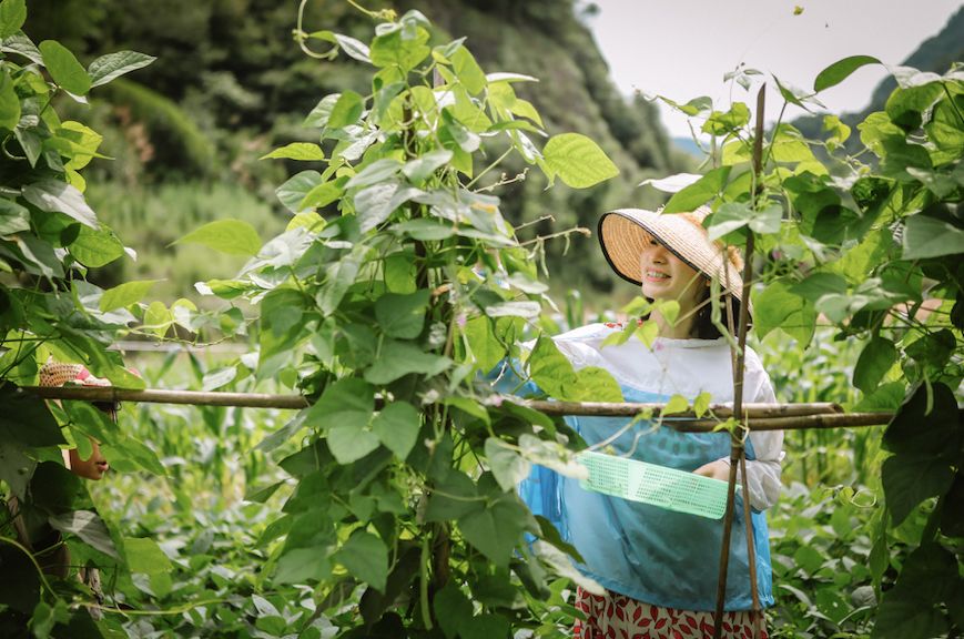 《三十而已》神仙取景地大曝光！高鐵20min直達顧佳同款絕美茶山，又一個寶藏地要火了！ 旅遊 第30張